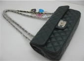 シャネル 新作＆送料込(CHANEL)  バッグ A46513G