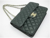 シャネル 新作＆送料込(CHANEL)  バッグA48220MG
