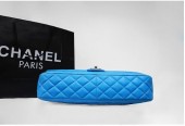 シャネル 新作＆送料込(CHANEL)  バッグ A01111SL