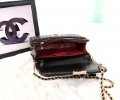 シャネル 新作＆送料込(CHANEL) chbag035