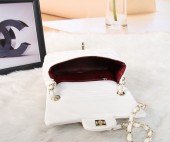 シャネル 新作＆送料込(CHANEL) chbag009