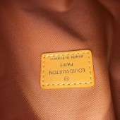 ◆ 2019 - 2020AW 新作 ◆ Louis Vuitton ソフトトランク M44723