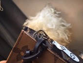 ルイヴィトン 人気 LOUISVUITTON モノグラム　通販 ＆送料込 LV093