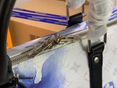 ルイヴィトン バッグ新作 人気 新品 通販＆送料込 M41416