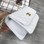 シャネル バッグ 人気 新作＆送料込(CHANEL)ch170