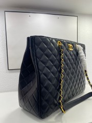 シャネル バッグ人気 新作＆送料込 新入荷 AS3313